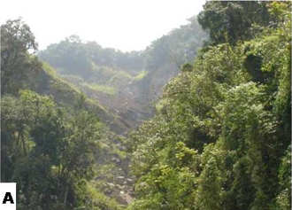 Sonapur landslide on NH-44 near Sonapur village in Jaintia Hills District, Meghalaya