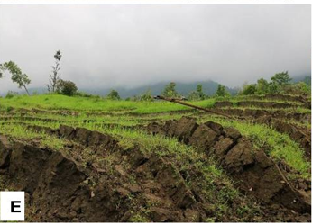 Earth crack and sinking of the land at Khalikota area in Khangpokpi District, Manipur