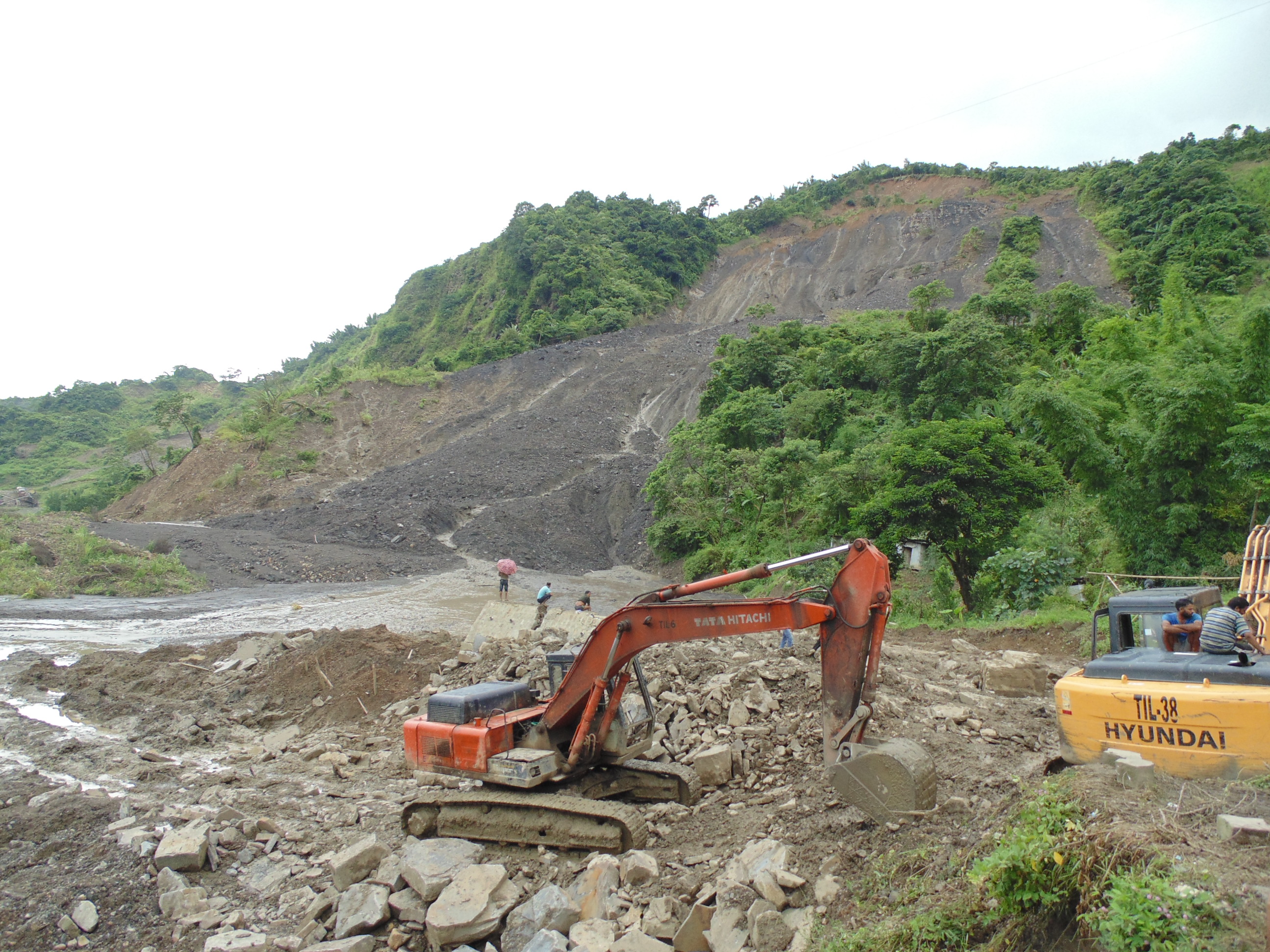 Peducha, Kohima