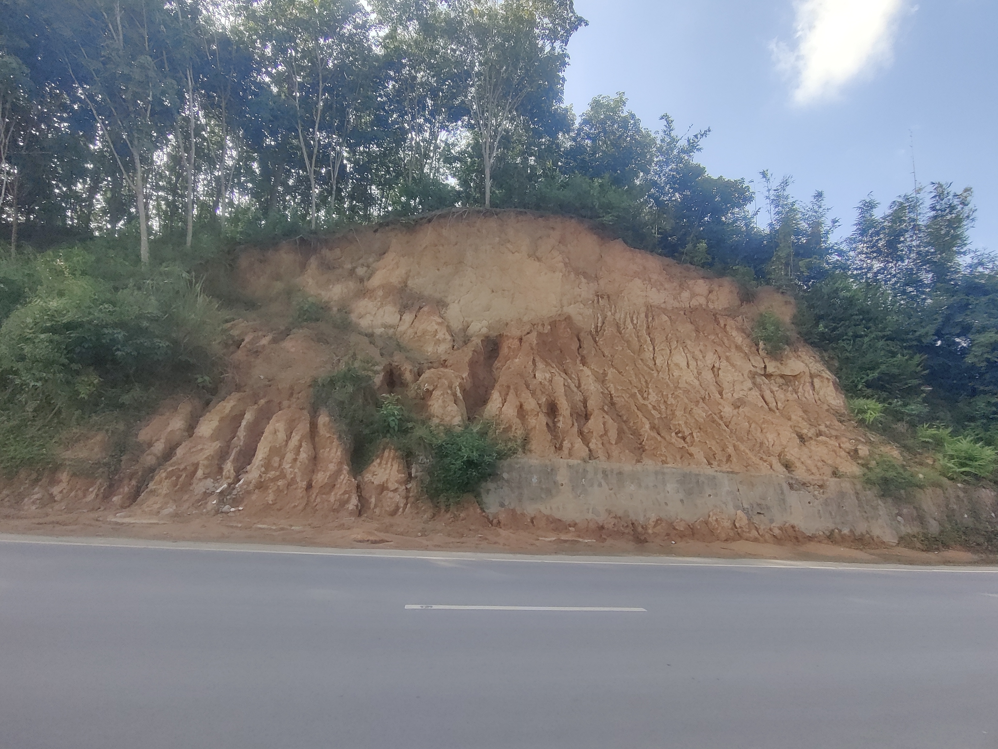 Along Kamalpur- Kumarghat road